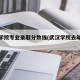 武汉学院专业录取分数线(武汉学院去年分数线)