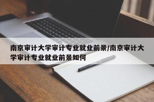 南京审计大学审计专业就业前景/南京审计大学审计专业就业前景如何